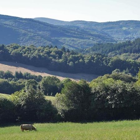 Ahoma, Sejour Bien-Etre, Calme Et Serenite. Labruguière Kültér fotó