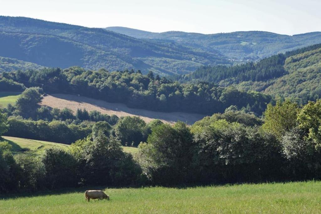Ahoma, Sejour Bien-Etre, Calme Et Serenite. Labruguière Kültér fotó